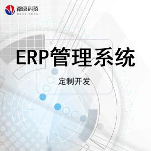 erp系统开发软件[服务/报价]-一品威客网