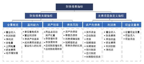 中国核电 财务数字化转型的建设实践